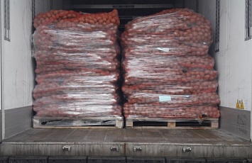 Baltic Seeds LLC started the dispatch of seed potatoes